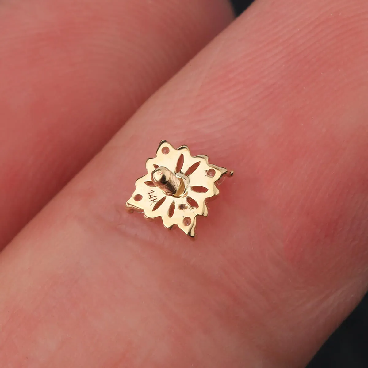 14K Gold 16G Flower Dermal Top Internally Threaded Dermal Jewelry