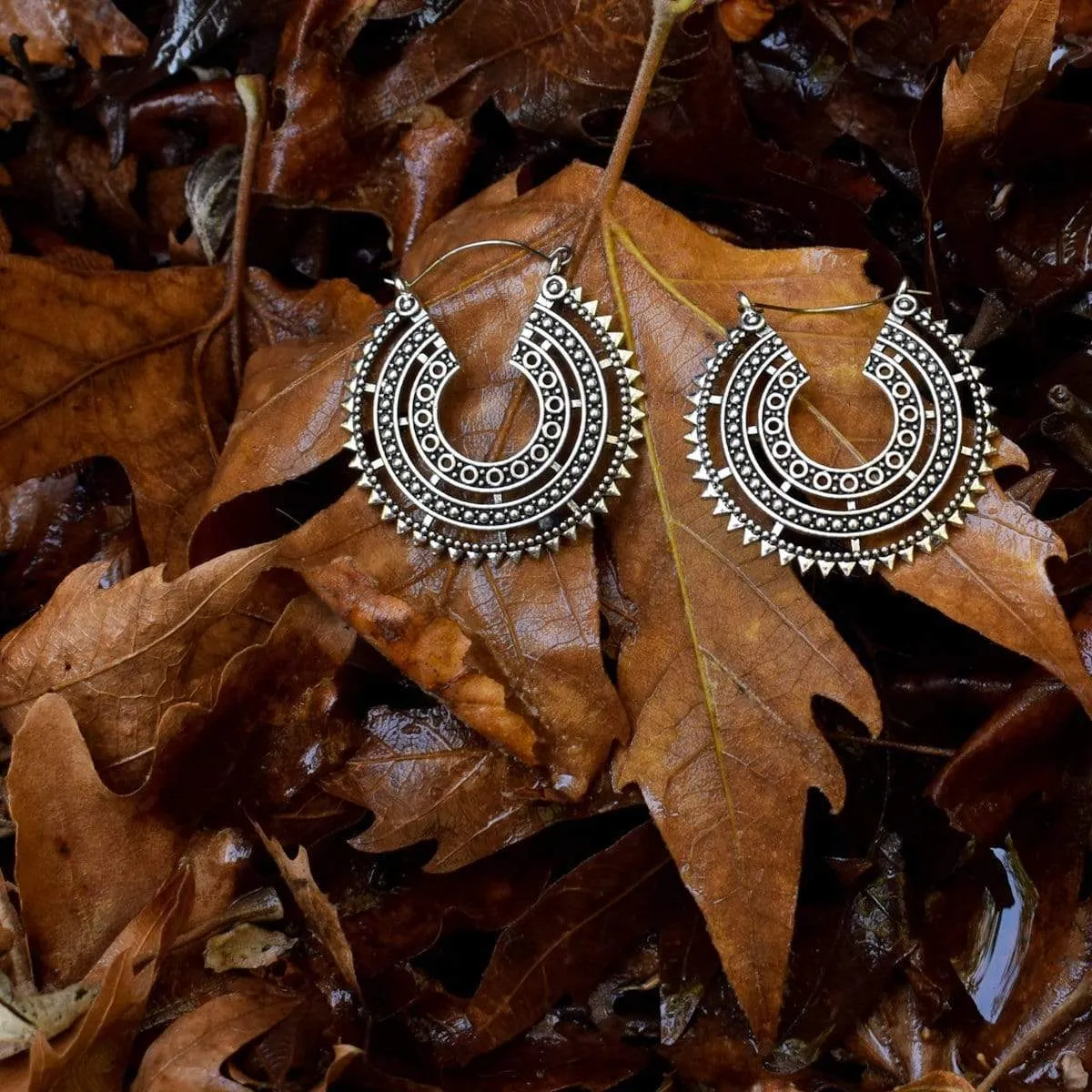 Crescent Earrings