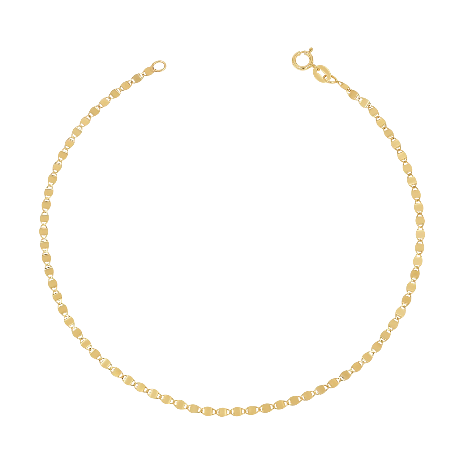 Mirror Chain Anklet