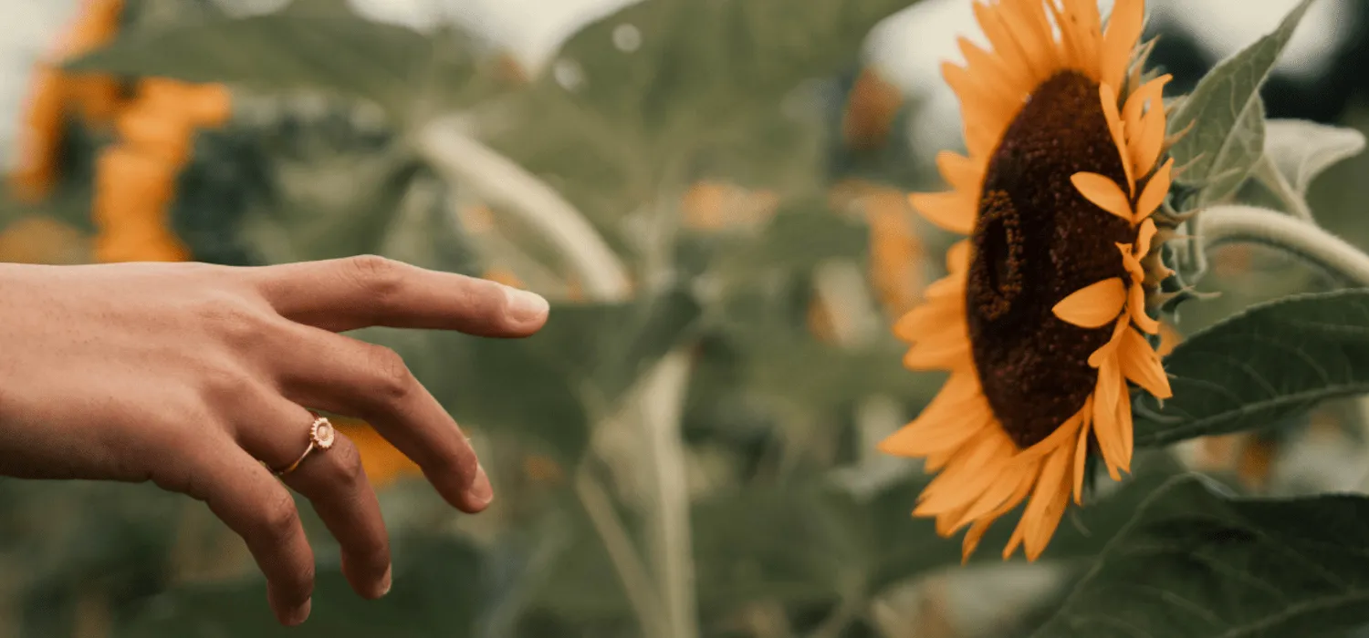 Sunflower Ring